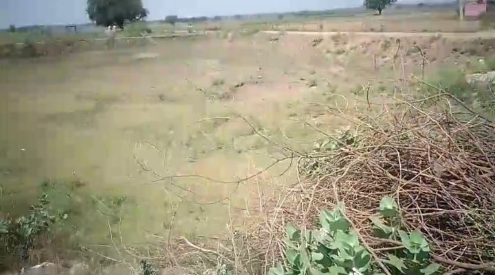भदेख दिवारा के किसानों ने ओला वृष्टि से हुई फसलों के नुकसान के संबंध में लेखपाल नीतू यादव पर भ्रष्टाचार के लगाए गंभीर आरोप, भदेख दिवारा के किसानों ने ओला वृष्टि से हुई फसलों के नुकसान के संबंध में लेखपाल नीतू यादव पर भ्रष्टाचार के लगाए गंभीर आरोप,