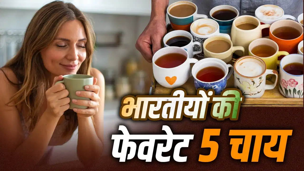International Tea Day 2026: हर्बल टी से काहवा तक, भारतीयों की पसंदीदा चाय और उनके फायदे International Tea Day 2026: हर्बल टी से काहवा तक, भारतीयों की पसंदीदा चाय और उनके फायदे