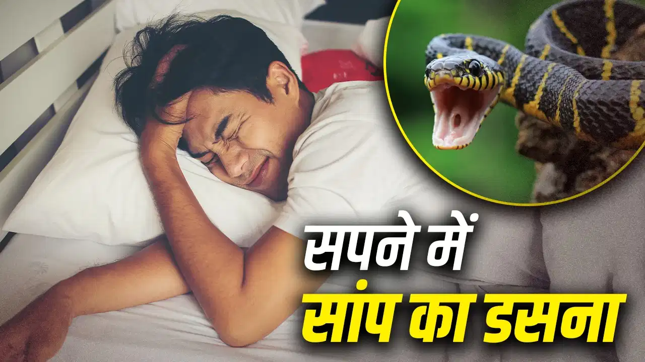 Swapna Shastra: सपने में सांप के काटने का क्या होता है मतलब? जानें शुभ-अशुभ संकेत Swapna Shastra: सपने में सांप के काटने का क्या होता है मतलब? जानें शुभ-अशुभ संकेत