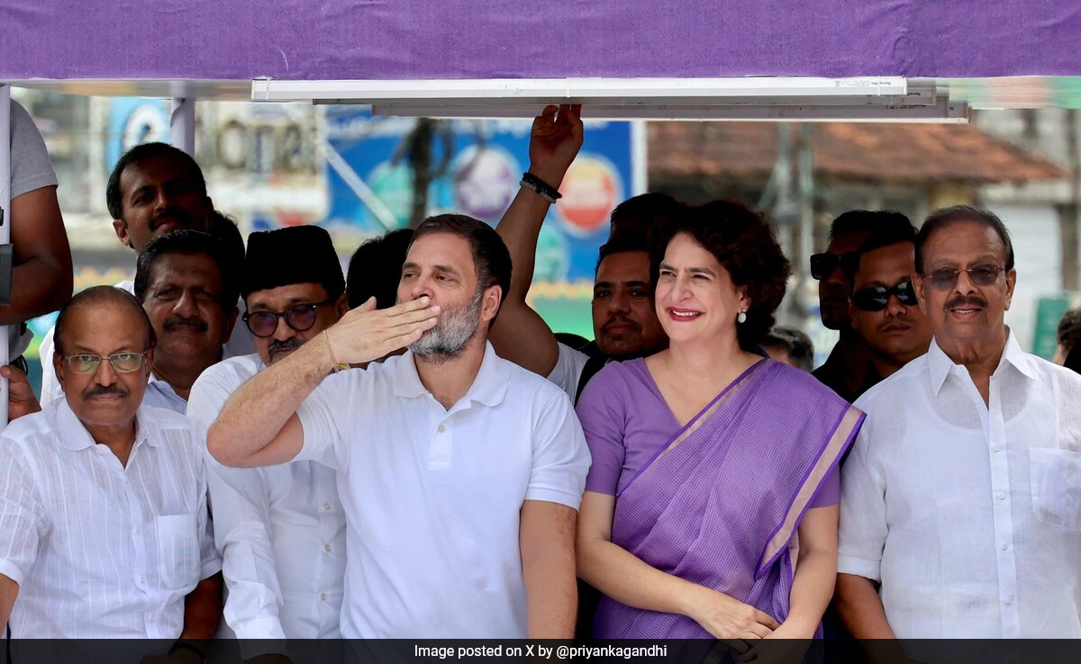 राहुल गांधी के जन्मदिन पर ‘कॉकरोच जनता पार्टी’ का अनोखा संदेश, सोशल मीडिया पर चर्चा तेज राहुल गांधी के जन्मदिन पर ‘कॉकरोच जनता पार्टी’ का अनोखा संदेश, सोशल मीडिया पर चर्चा तेज