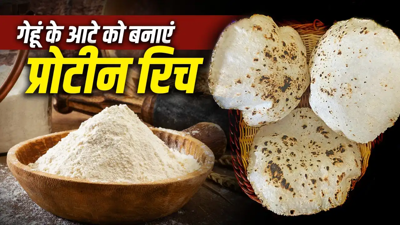 Protein Rich Wheat Roti: गेहूं की रोटी को बनाएं प्रोटीन से भरपूर, बस आटे में मिला लें ये 3 चीजें Protein Rich Wheat Roti: गेहूं की रोटी को बनाएं प्रोटीन से भरपूर, बस आटे में मिला लें ये 3 चीजें