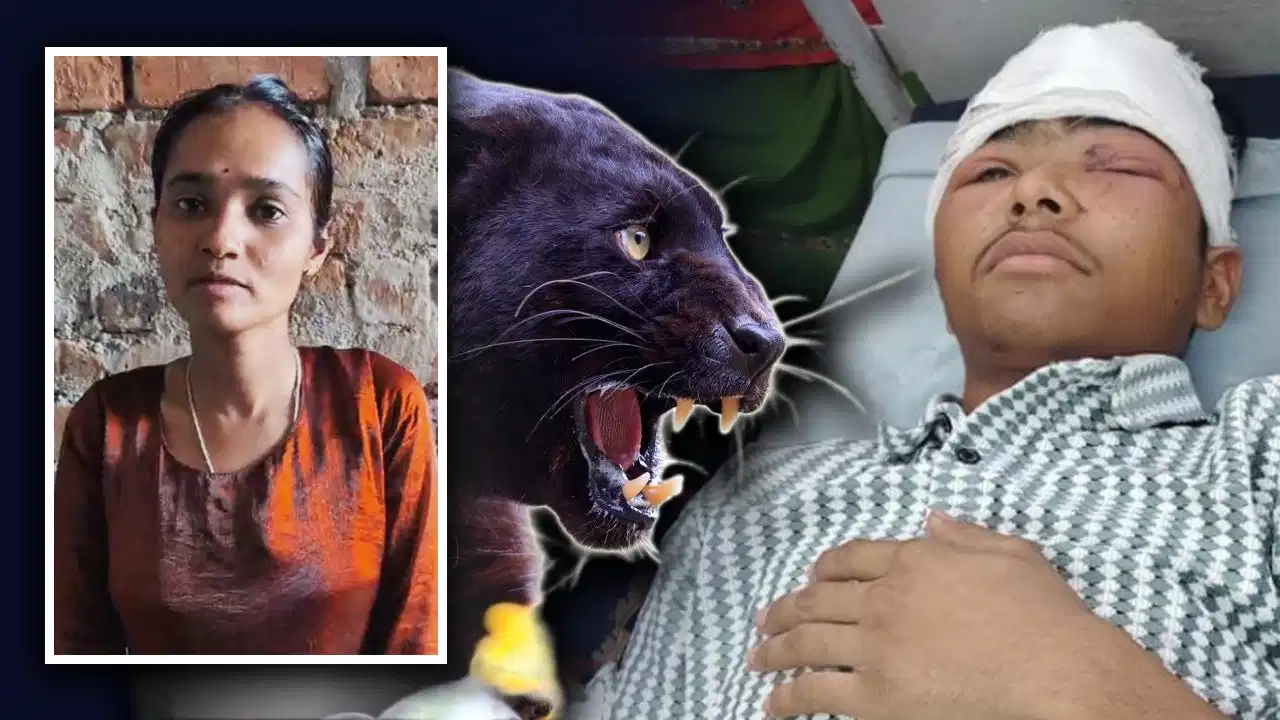 भाई की जान बचाने के लिए पैंथर से भिड़ी बहन, बहादुरी की हर तरफ हो रही चर्चा भाई की जान बचाने के लिए पैंथर से भिड़ी बहन, बहादुरी की हर तरफ हो रही चर्चा
