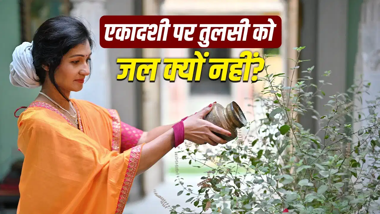 एकादशी पर तुलसी पूजा का सही नियम क्या है? जानिए जल अर्पित करना चाहिए या नहीं एकादशी पर तुलसी पूजा का सही नियम क्या है? जानिए जल अर्पित करना चाहिए या नहीं