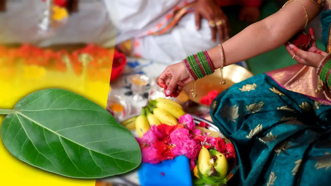 पूजा में वट वृक्ष का पत्ता हर देवता को क्यों नहीं चढ़ाया जाता? जानिए धार्मिक मान्यता पूजा में वट वृक्ष का पत्ता हर देवता को क्यों नहीं चढ़ाया जाता? जानिए धार्मिक मान्यता