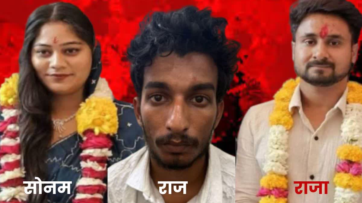 मेघालय का हनीमून मर्डर केस: दोबारा जेल जा सकती है सोनम रघुवंशी? सुप्रीम कोर्ट ने दिए दो विकल्प