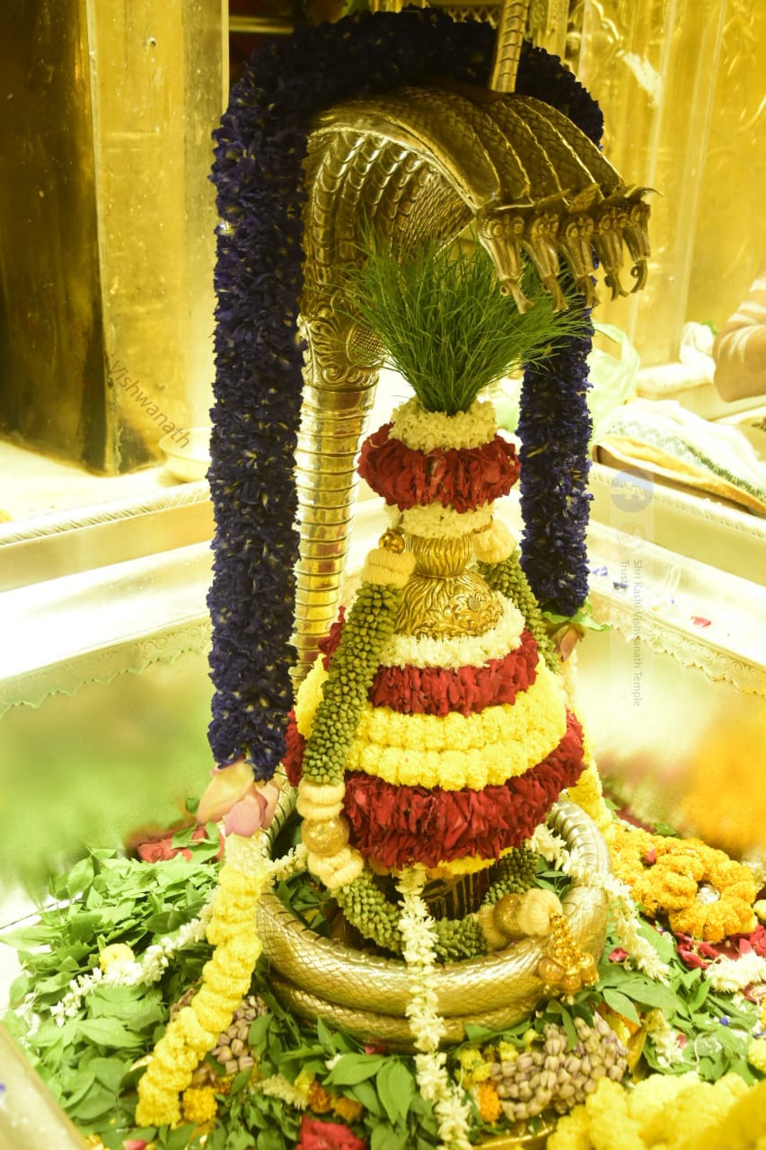 Kashi Vishwanath Sawan 2026: सावन के चार सोमवार पर होंगे 4 विशेष श्रृंगार, देखें दर्शन की पूरी जानकारी
