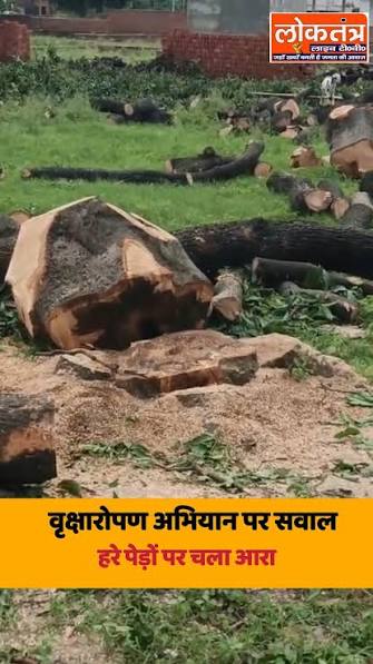 लखनऊ | बीकेटी क्षेत्र में ‘पेड़ लगाओ अभियान’ का उड़ रहा मजाक, हरे-भरे आम के पेड़ों पर चल रहा आरा लखनऊ | बीकेटी क्षेत्र में ‘पेड़ लगाओ अभियान’ का उड़ रहा मजाक, हरे-भरे आम के पेड़ों पर चल रहा आरा