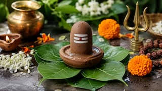 Sawan 2026: सावन में पार्थिव शिवलिंग पूजा का क्या है धार्मिक महत्व? जानें बनाने के नियम और बेलपत्र पर स्थापना की सही विधि Sawan 2026: सावन में पार्थिव शिवलिंग पूजा का क्या है धार्मिक महत्व? जानें बनाने के नियम और बेलपत्र पर स्थापना की सही विधि